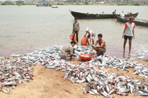 fish poisoning..